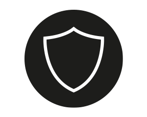 icon-protecting-300x240